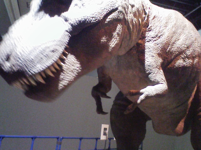ティラノサウルス01